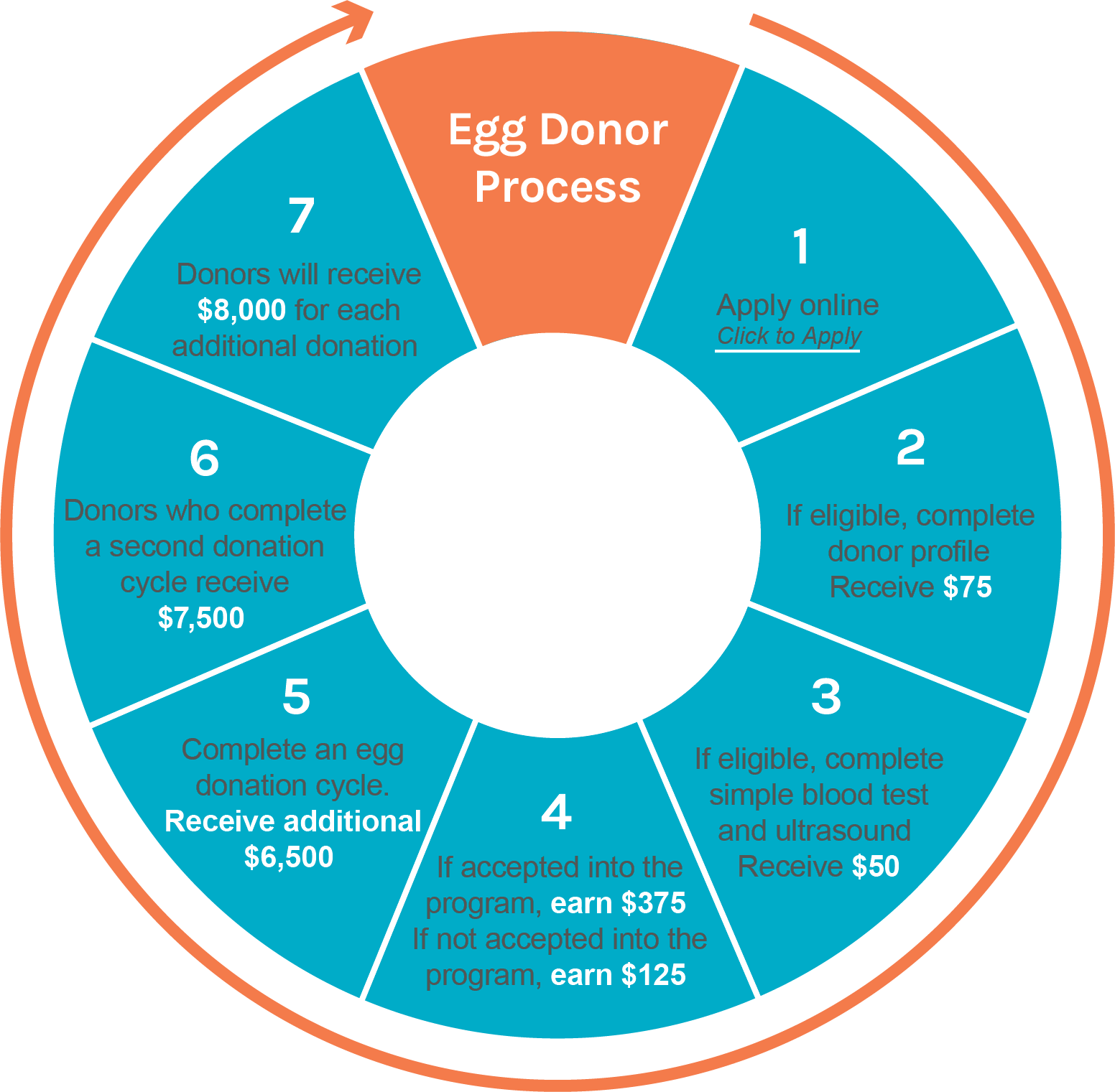 Egg Donor Compensation Wheel may2018