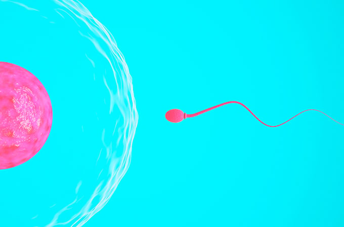 ASRM 2016: SGF Identifies New Method to Select Better Quality Sperm Used during IVF