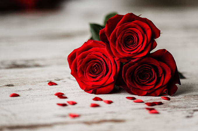 Bachelorette: 3 Reasons Egg Freezing is Valuable, and the Success Rates that Make it Reliable