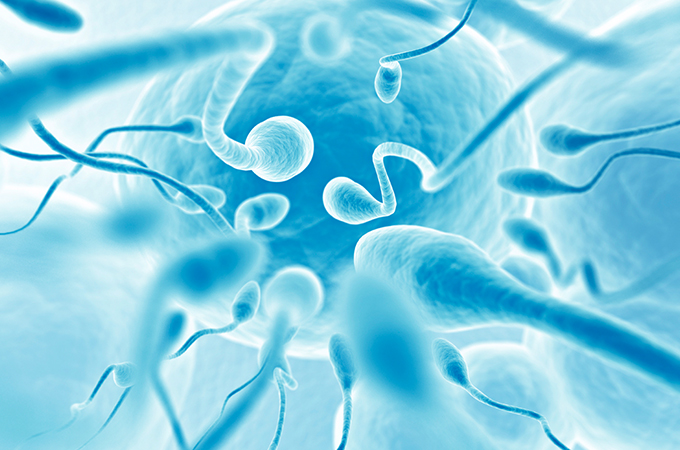 How Do I Check and Promote Healthy Sperm?