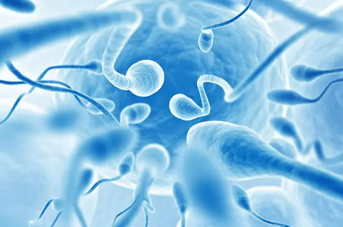 Can Sperm Go Bad?