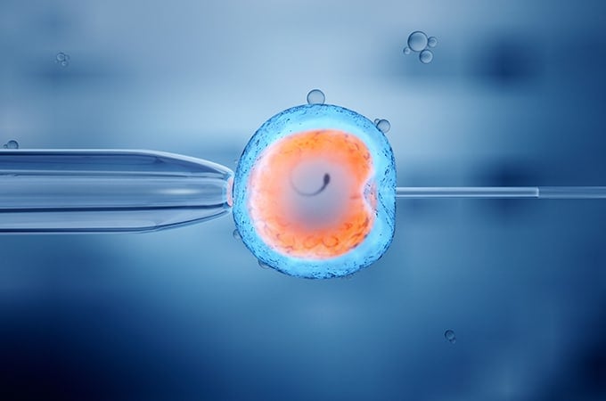 IVF Treatment: The Beginner's Guide | Shady Grove Fertility