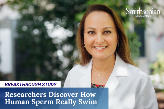 New Discovery about Sperm May Lead to Simpler Treatment for Common Male Factor Infertility