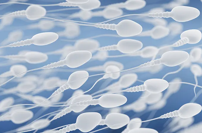Improve sperm count: sperm quality checklist