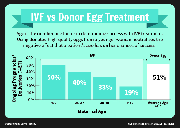 donor egg ivf