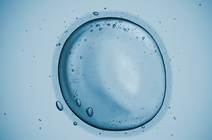 Parents.com: 5 Things You Need to Know about Freezing Eggs for Future Pregnancy