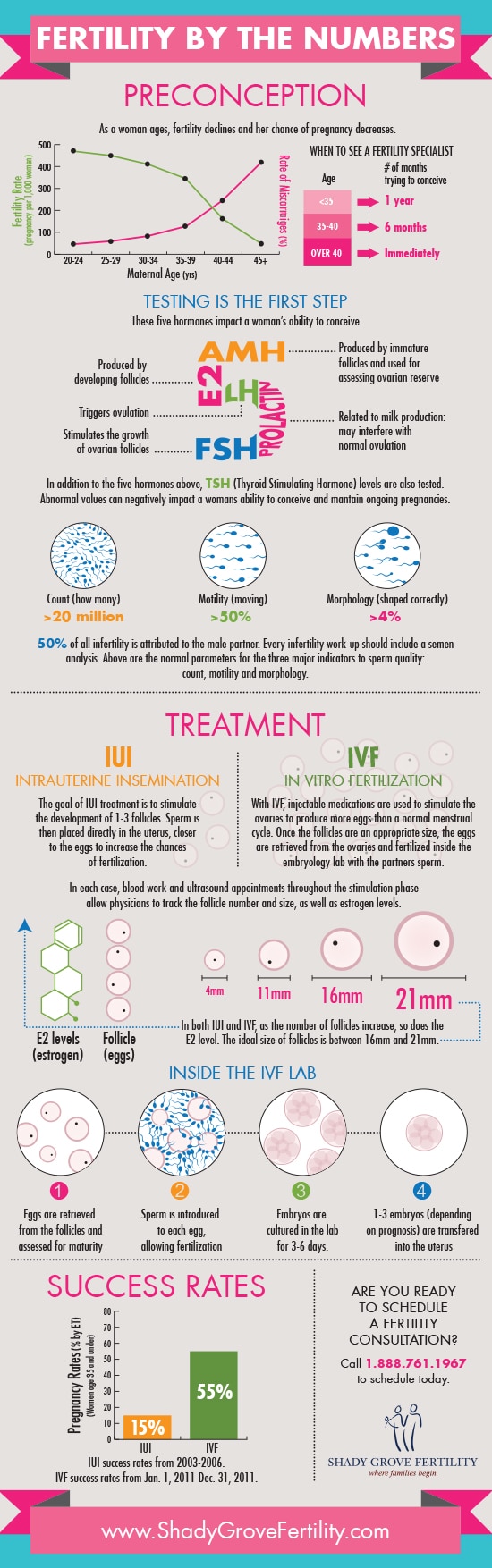Fertility by the Numbers Infographic SGF Nurse