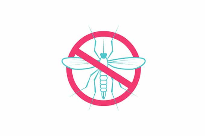 Zika Virus: Getting Pregnant Amid Concerns