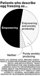 Bloomberg Businessweek Egg Freezing