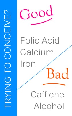 Fertility Diet SGF Nurse