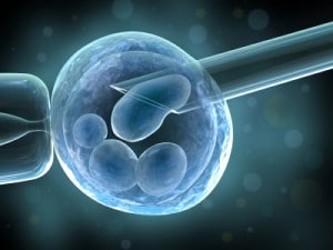 IVF Treatment with PGD SGF Nurse