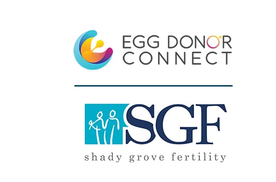 SGF launches new egg donor database with Egg Donor Connect