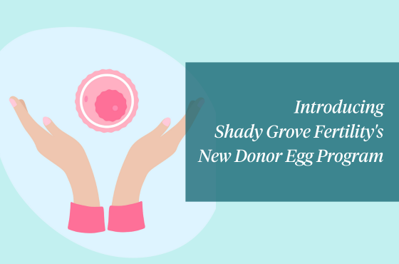 Shady Grove Fertility launches new, simplified Donor Egg program 